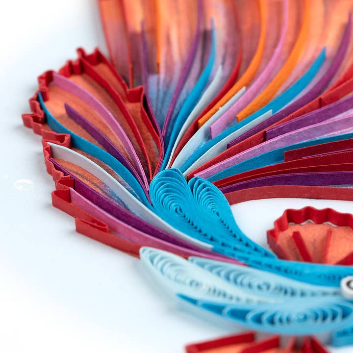 Betta Fish