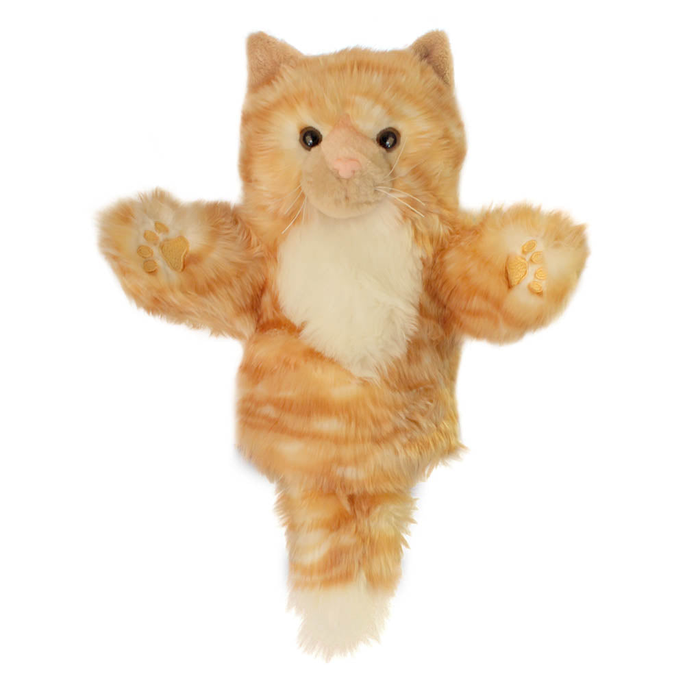 Cat – Ginger – CarPets