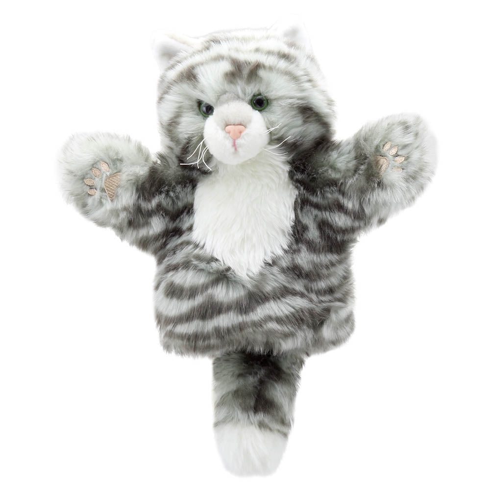 Cat – Tabby – CarPets