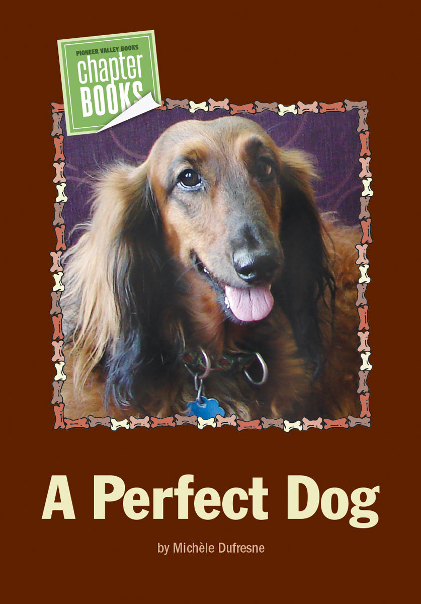 A Perfect Dog