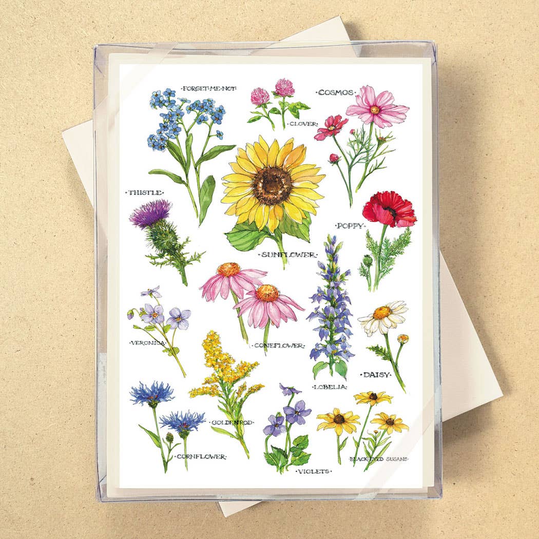 Field Guide to Wildflowers Boxed Blank Cards