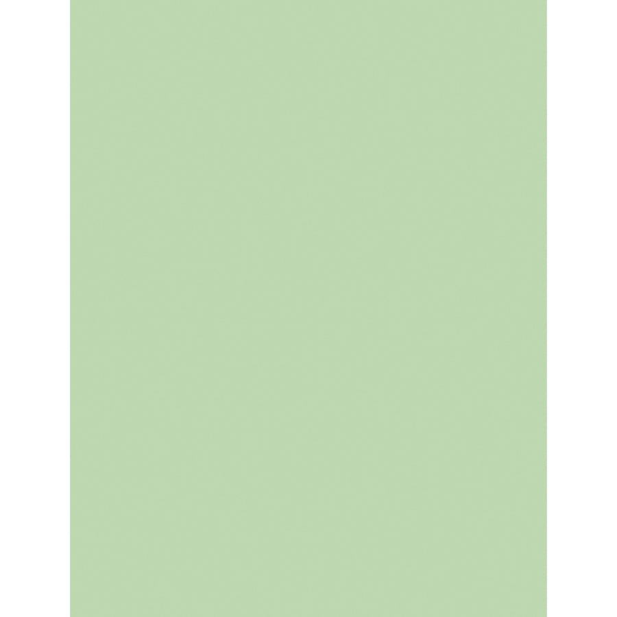 Sparco DP 20lb Copy Paper Pastel Green 8.5 x 14
