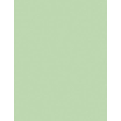 Sparco DP 20lb Copy Paper Pastel Green 8.5 x 14