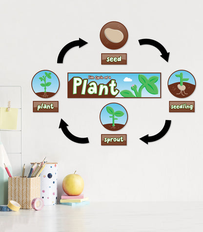 Life Cycles Bulletin Board Set Grade K-3