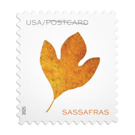 USPS Forever Postcard Stamps ROLL - Vibrant Leaves