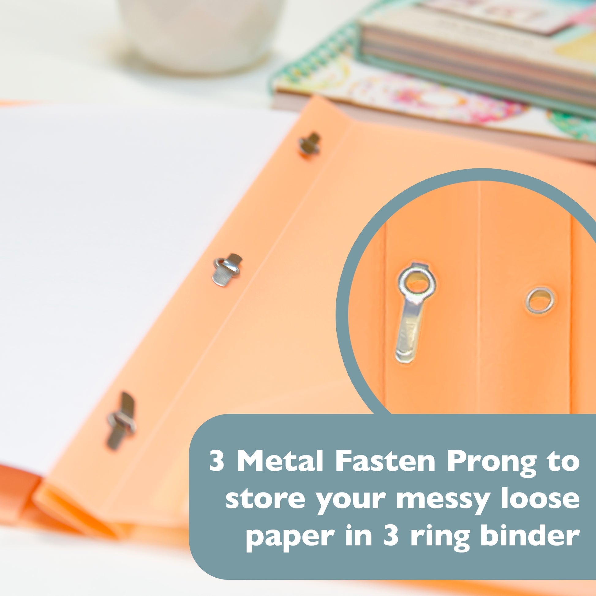 Pastel Color 2-Pocket Poly Portfolio w/ 3 Prongs