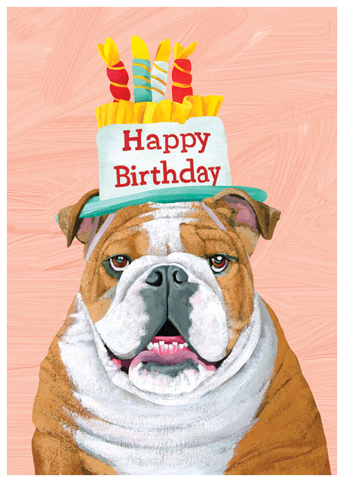 Bulldog Birthday Card [2977BD]