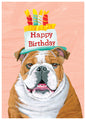 Bulldog Birthday Card [2977BD]