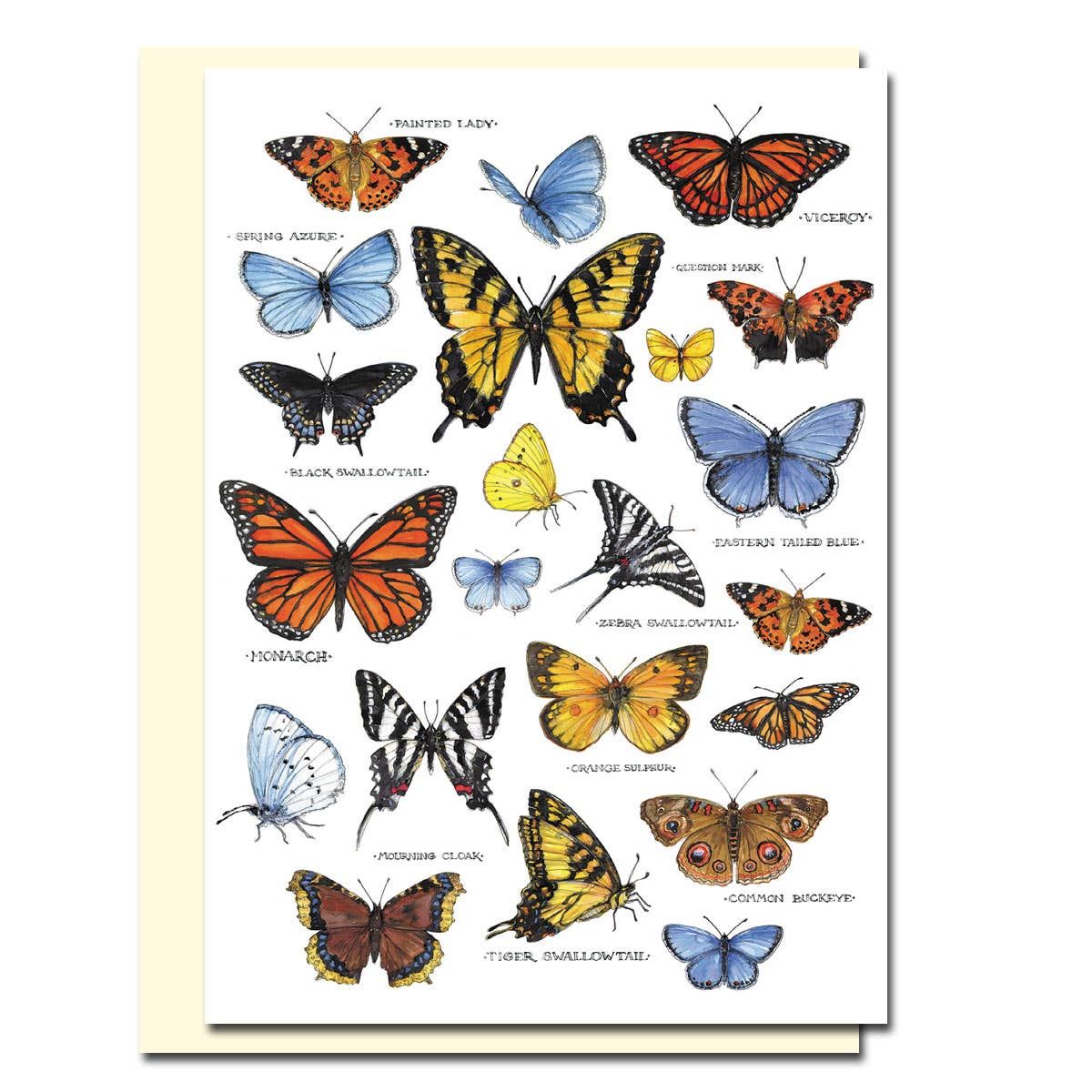 Field Guide to Butterflies Blank Card