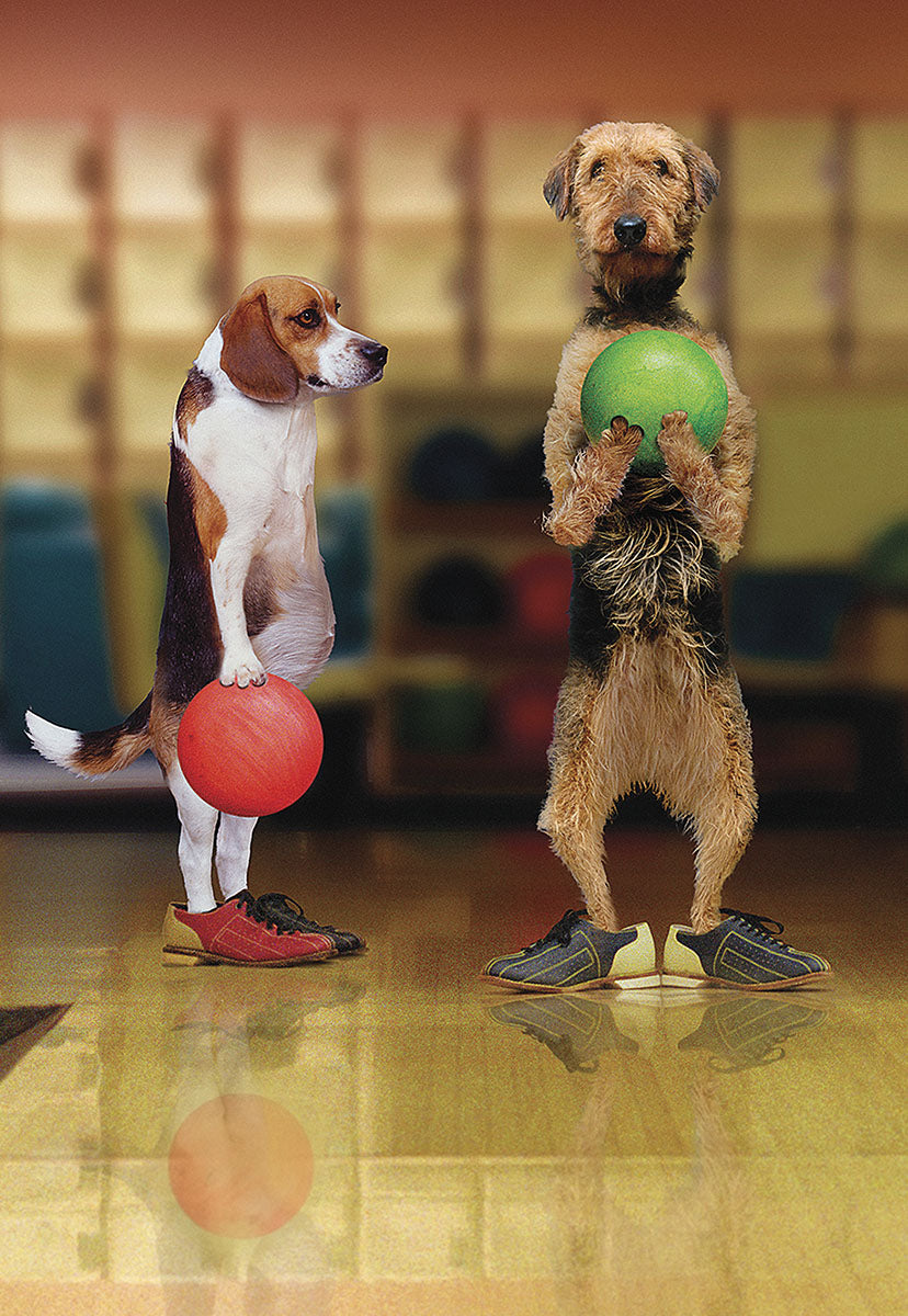 Pawsome Rollers | Funny Father's Day Greeting Card