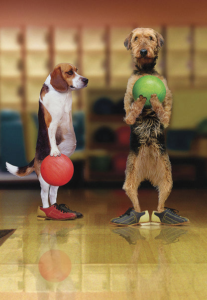 Pawsome Rollers | Funny Father's Day Greeting Card