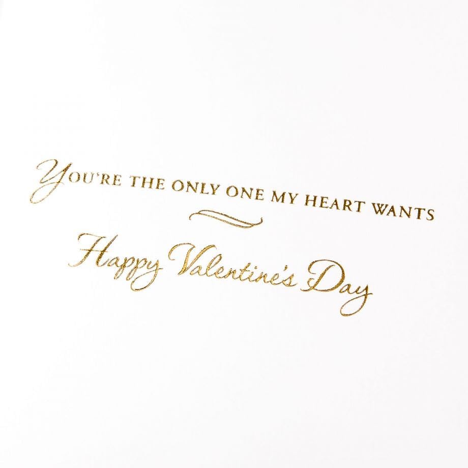 I Love You Valentine's Day Greeting Card [09020619]