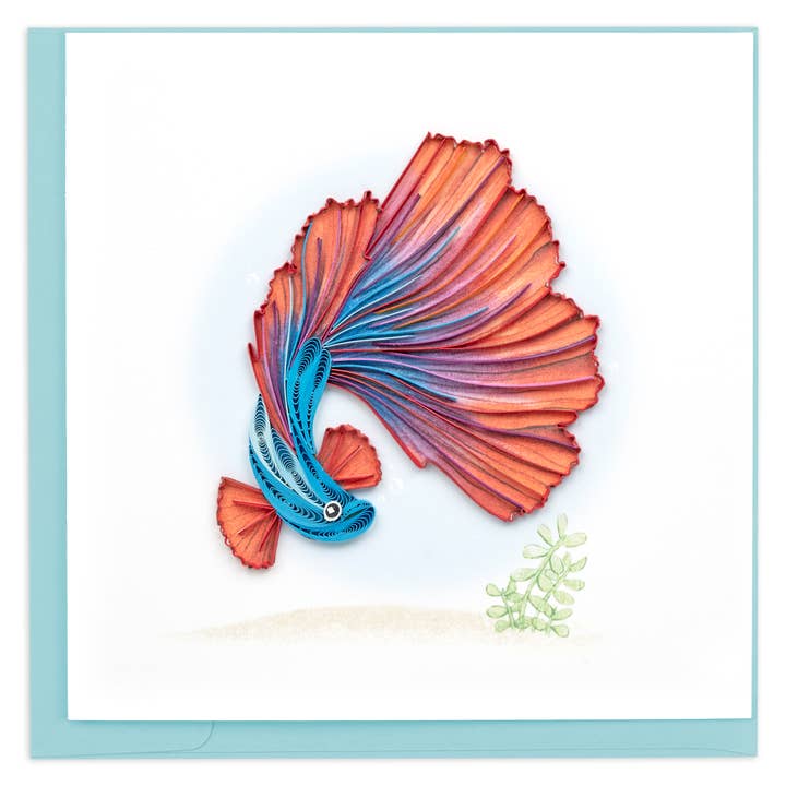 Betta Fish