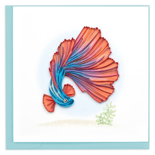 Betta Fish