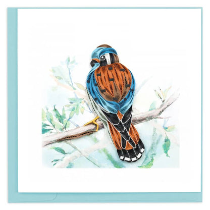 American Kestrel Quilled Greeting Card