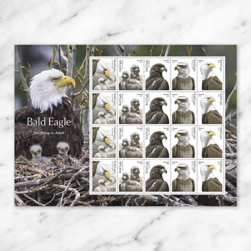 USPS Forever Stamps Sheet - Bald Eagle
