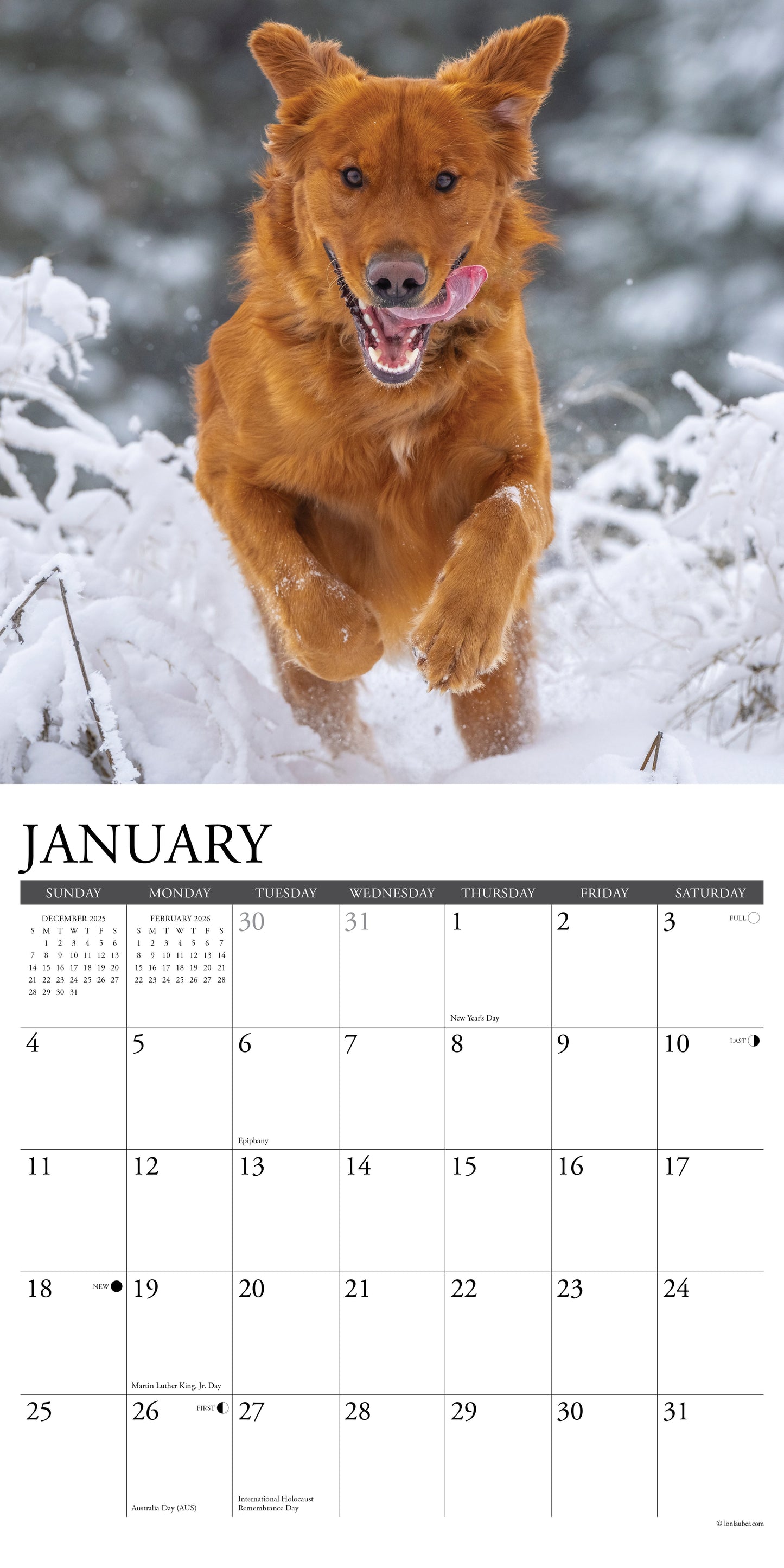 Goldens 2026 12" x 12" Wall Calendar