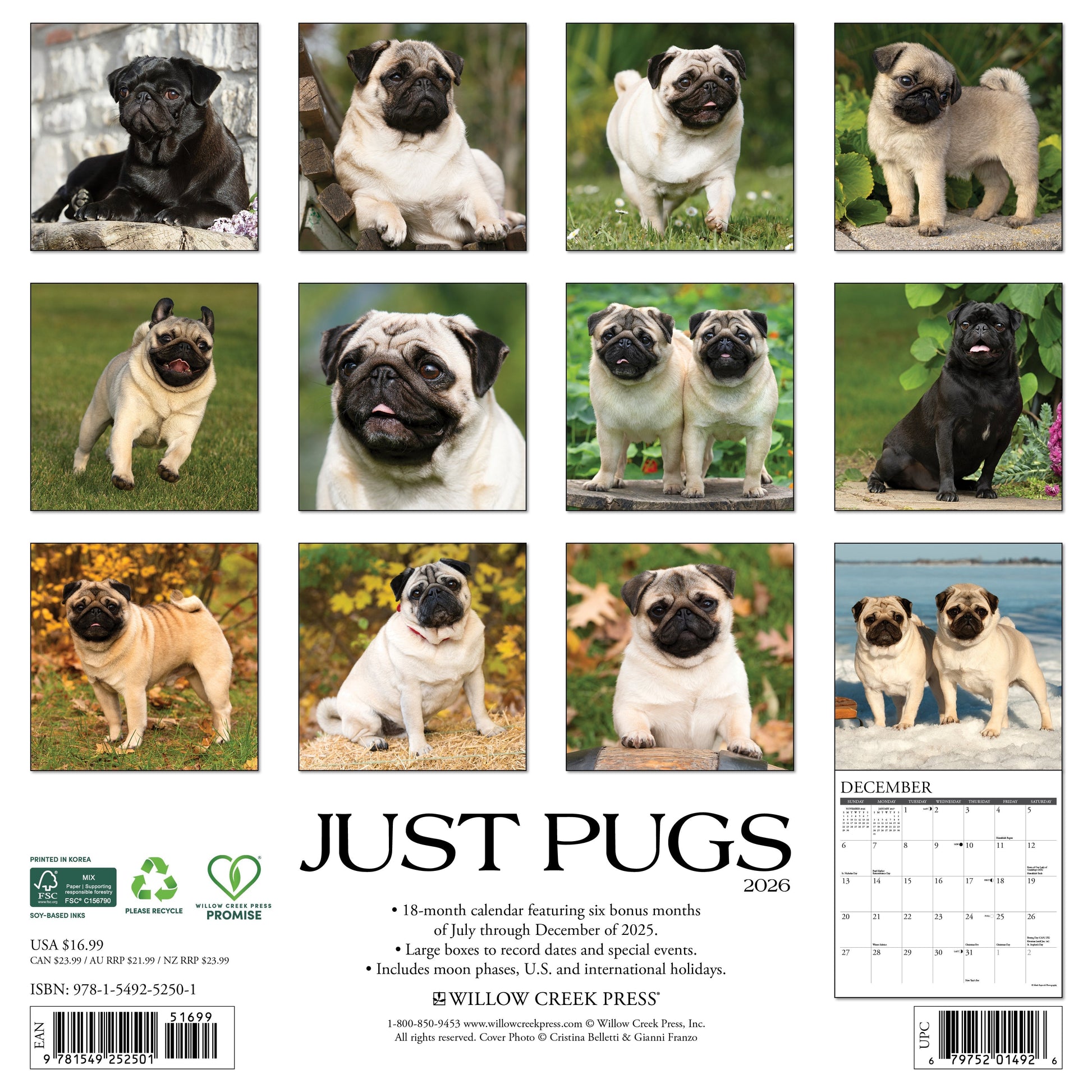 Pugs 2026 12" x 12" Wall Calendar