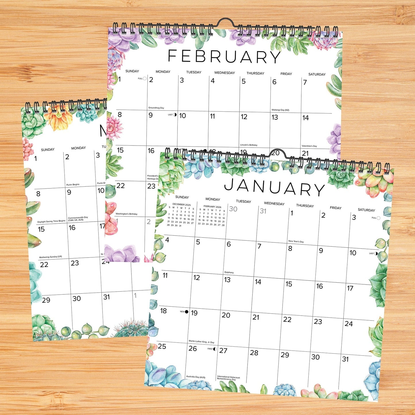 Succulents 2026 12" x 12" Spiral Wall Calendar