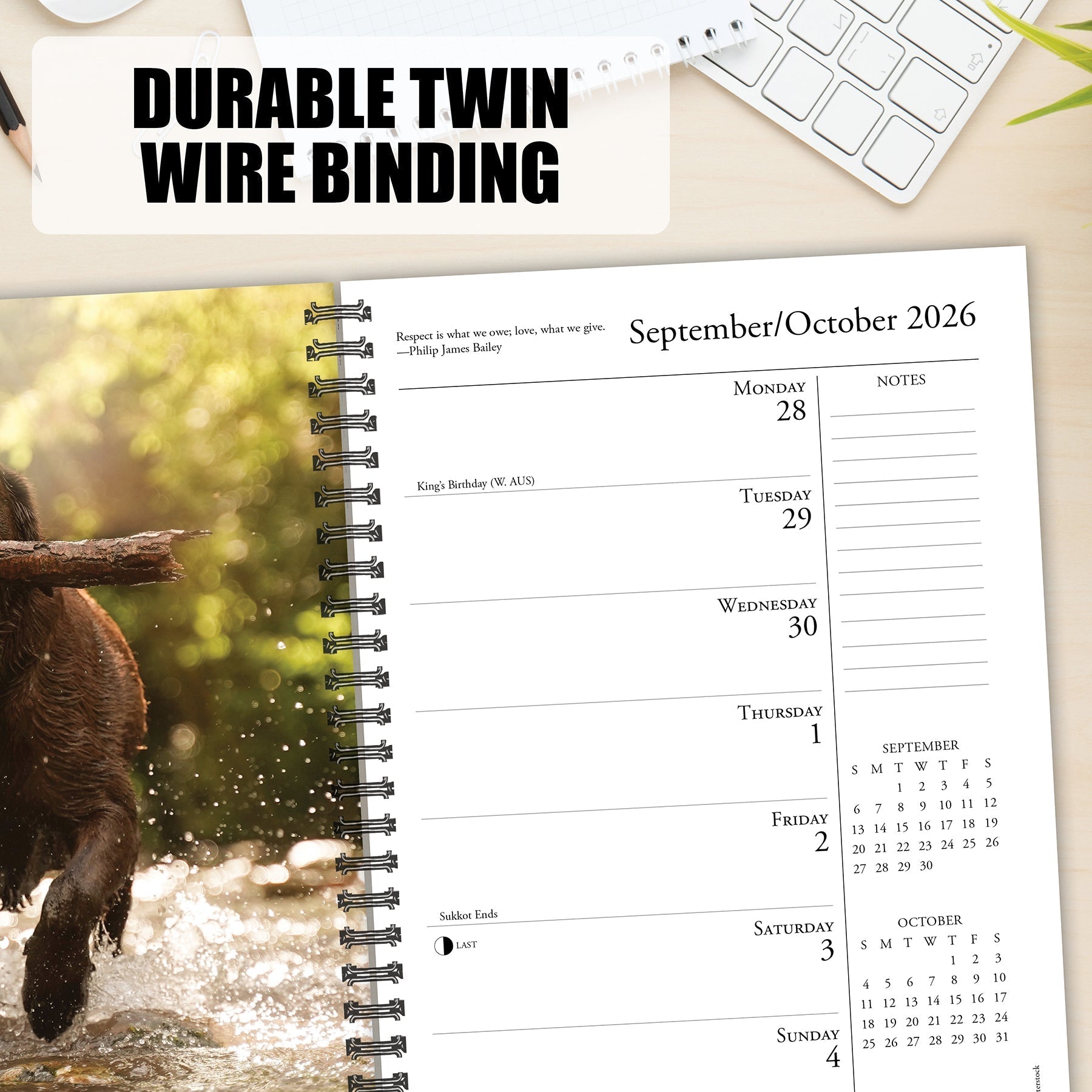 What Labs Teach Us 2026 6.5" x 8.5" Engagement Calendar