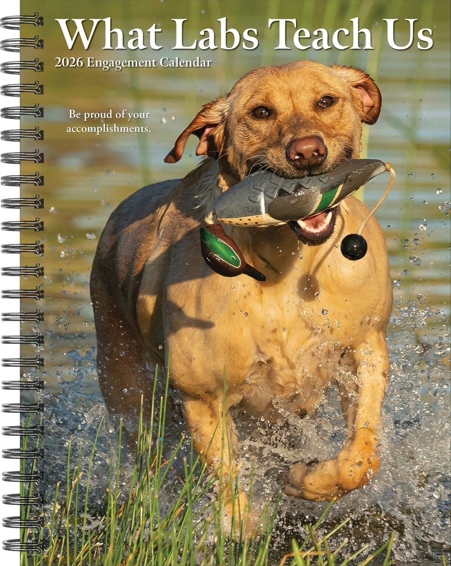 What Labs Teach Us 2026 6.5" x 8.5" Engagement Calendar