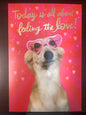 Feeling the Love Valentine's Day Greeting Card [VVT3211]