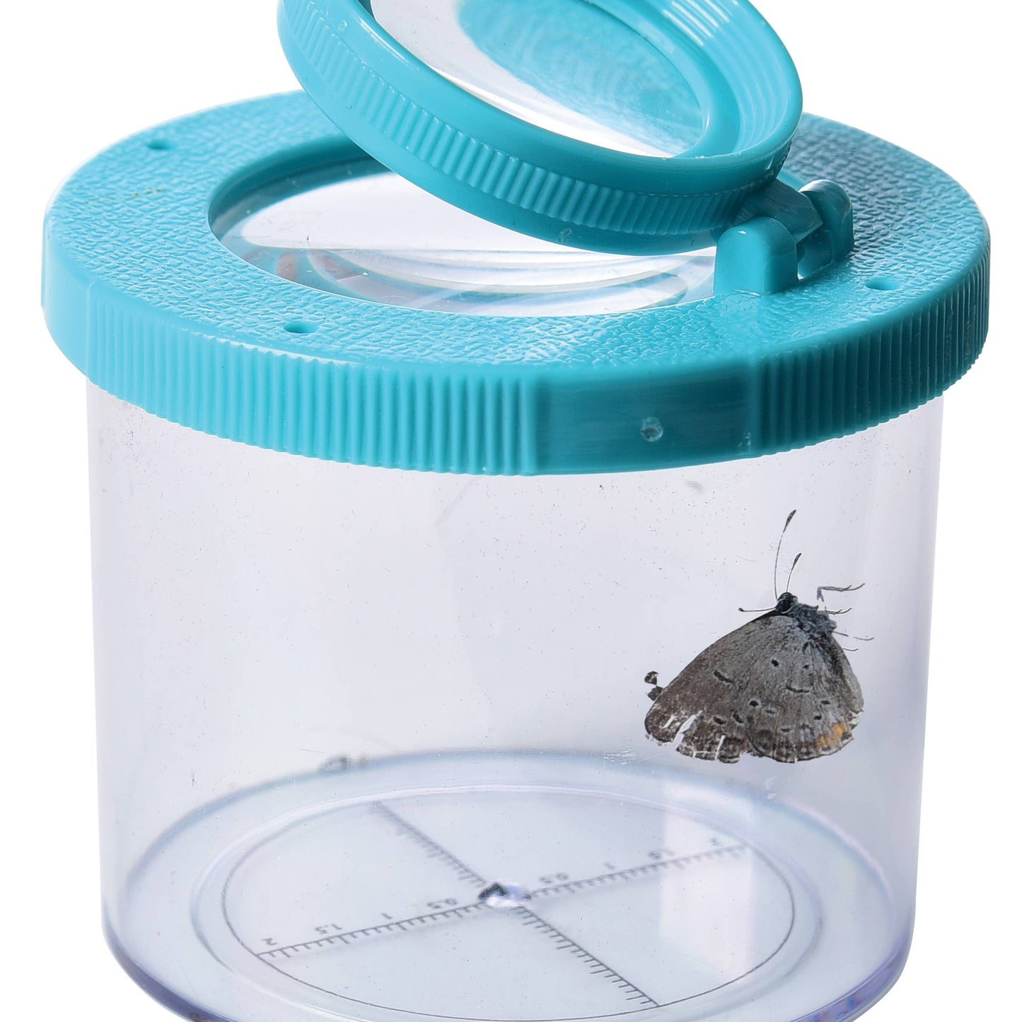 Bug Viewer 12-unit Display