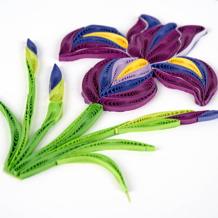 Quilled Iris Greeting Card