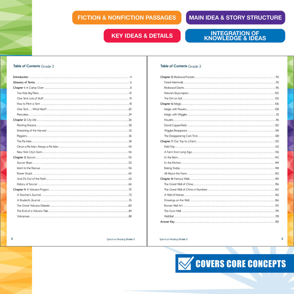 Spectrum Reading Workbook Grade 3 Paperback