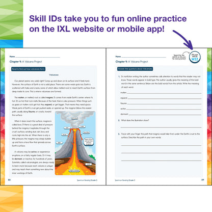 Spectrum Reading Workbook Grade 3 Paperback