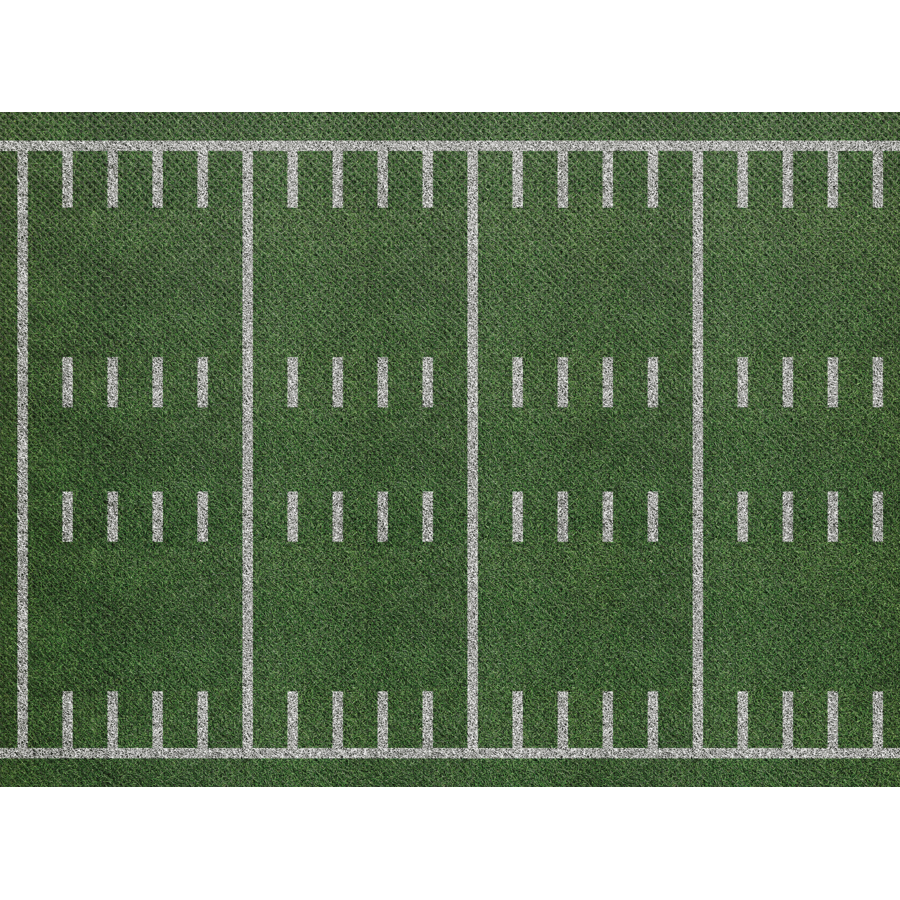 Fun Size Sports Field Better Than Paper Bulletin Board Roll