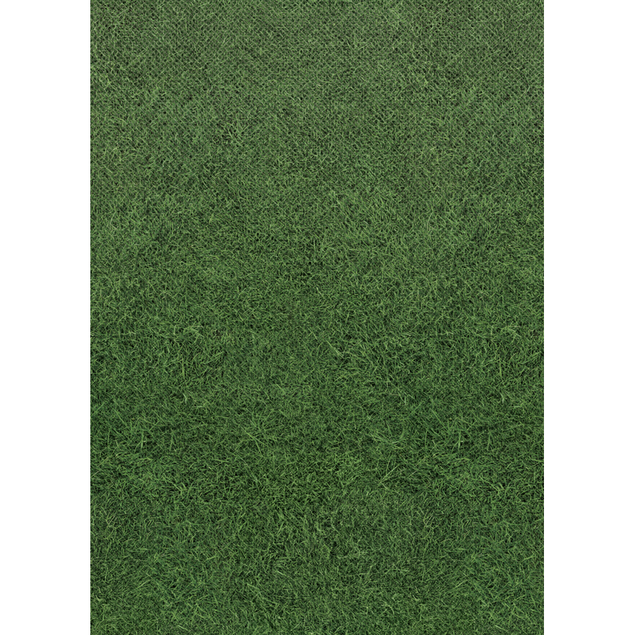 Grass Better Than Paper Bulletin Board Roll