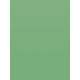 Green Crush Better Than Paper Bulletin Board Roll