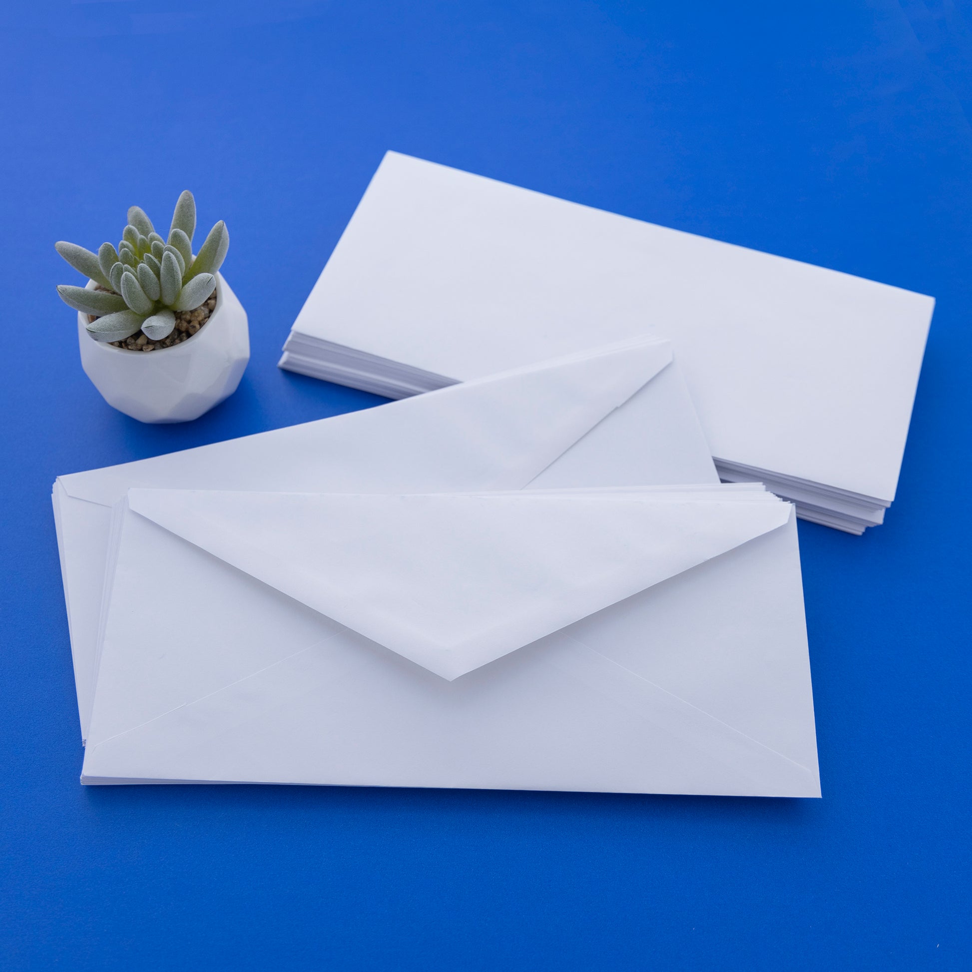 #10 White Envelopes w/ Gummed Closure (50/Pack)