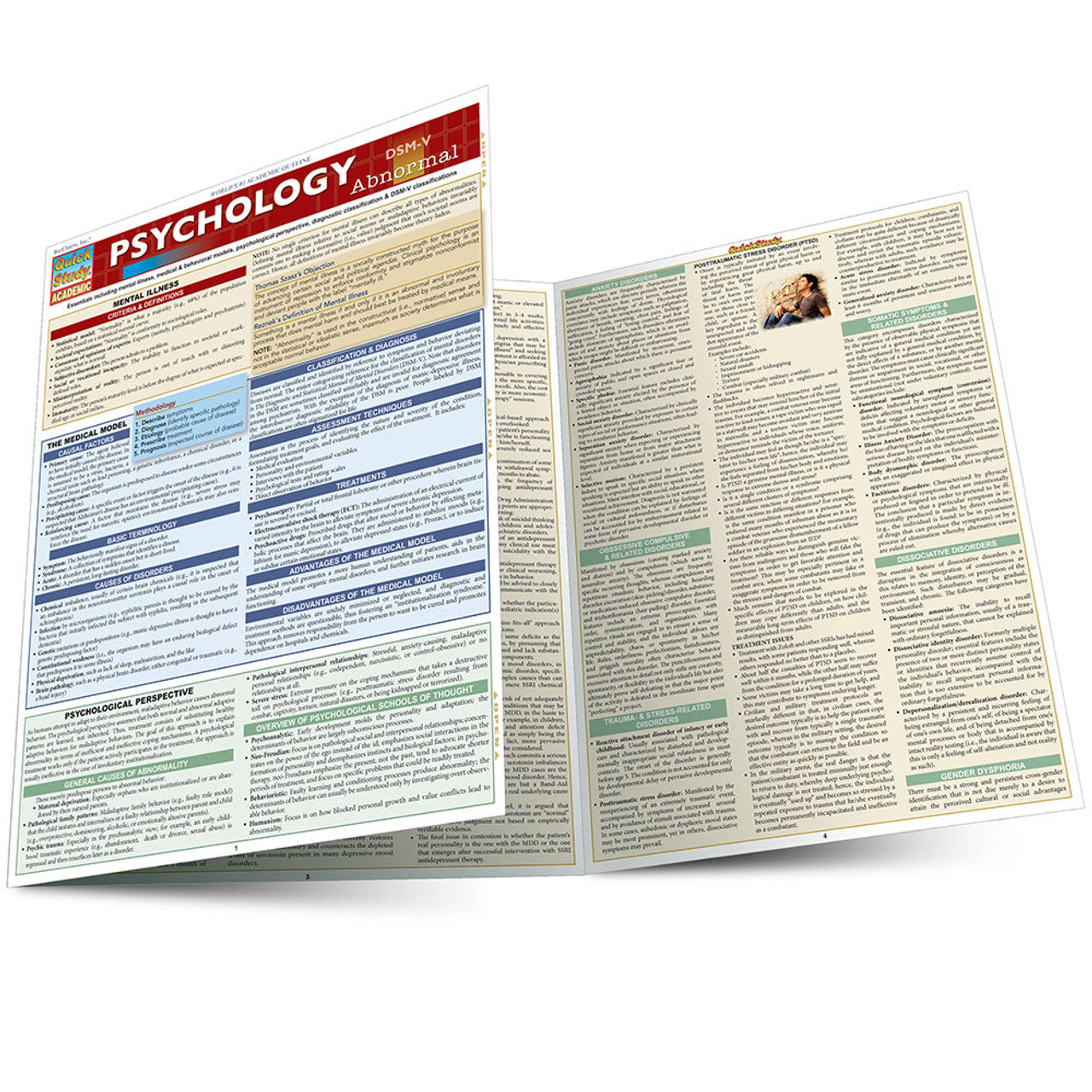 QuickStudy | PSYCHOLOGY (Abnormal) [223511]