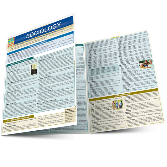 QuickStudy | SOCIOLOGY [224358]