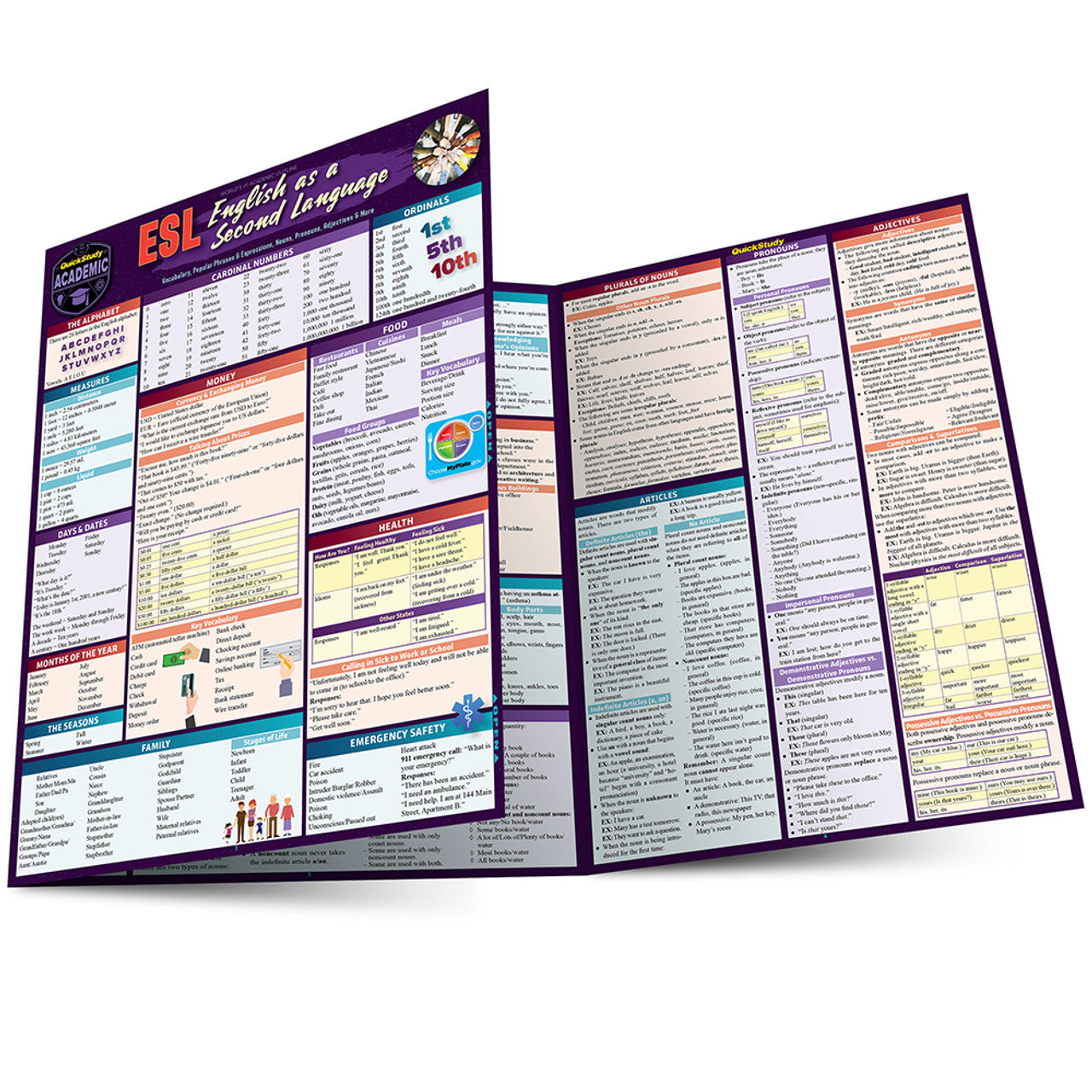 QuickStudy | ESL ENGLISH AS A SECOND LANGUAGE [238669]