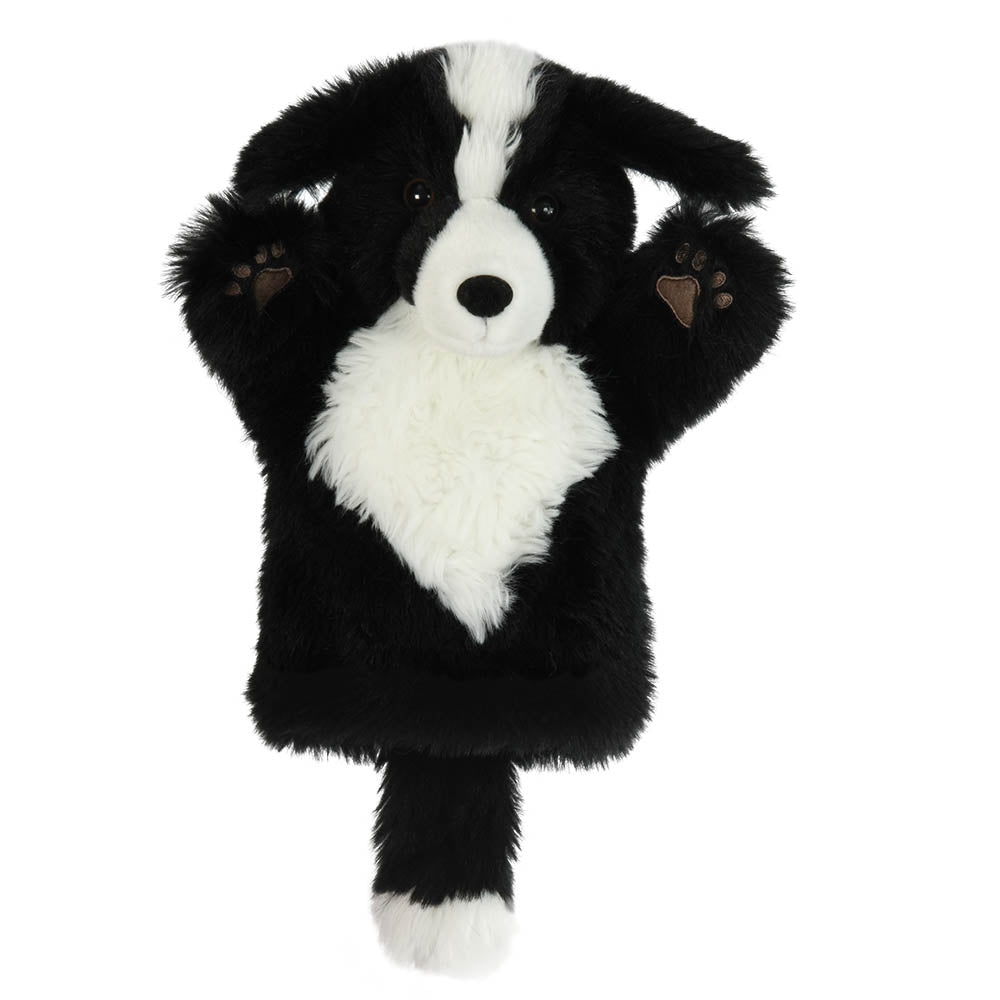 Border Collie – CarPets