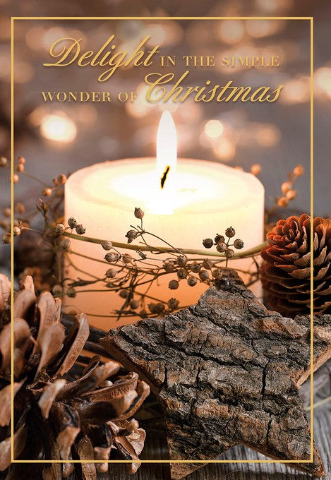 Delight in the simple wonder Christmas Greeting Card [CCC40112701]