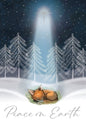 Peace on Earth Christmas Greeting Card [CCC40145801]