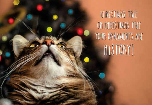 Christmas Greeting Card [CCC40147801]