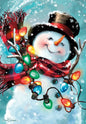 Christmas Greeting Card [CMC46050701]
