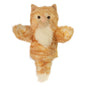 Cat – Ginger – CarPets