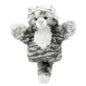 Cat – Tabby – CarPets