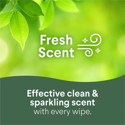 The Clorox Company Clorox Bleach-Free Disinfecting WipesTo-Go Pack, Fresh Scent - Bleach-free, Disinfectant, Antibacterial, Disposable