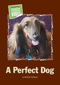 A Perfect Dog