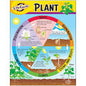 Life Cycle of a Plant Learning Chart 17x22 [T38179]