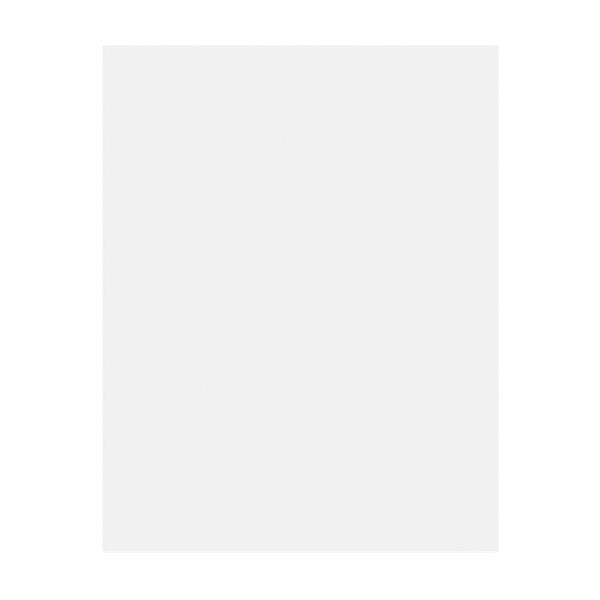 Pacon Peacock Railroad Board, 22" x 28", 4-Ply, White, Carton Of 100 Sheets, PAC104225