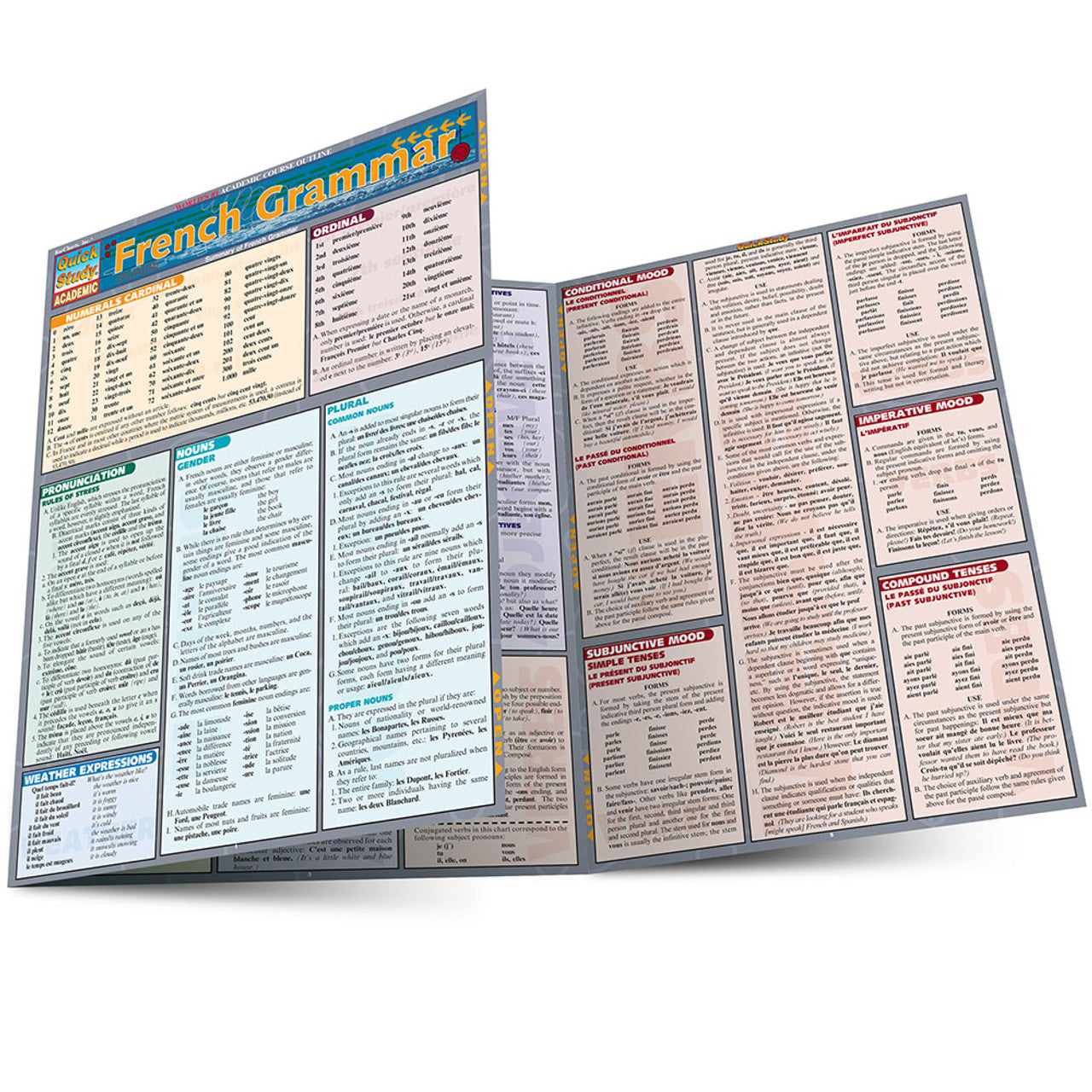 QuickStudy | French Grammar [225282]