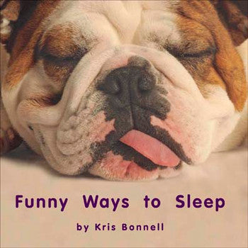 Funny Ways to Sleep - Single Copy [1FWTS]